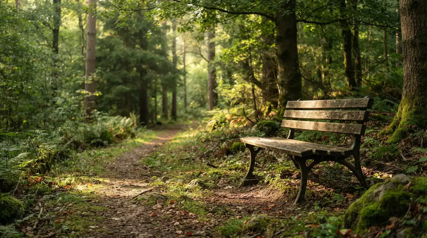 Eine leere Holzbank neben einem ruhigen Waldweg bei Tageslicht